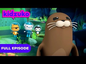 ‪@Octonauts‬ - 🪸 The Harbor Seal 🦭 | Full Episodes | Season 3 | ‪@Kidzuko‬