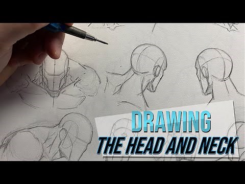 How to Draw the Head and Neck in Various Poses