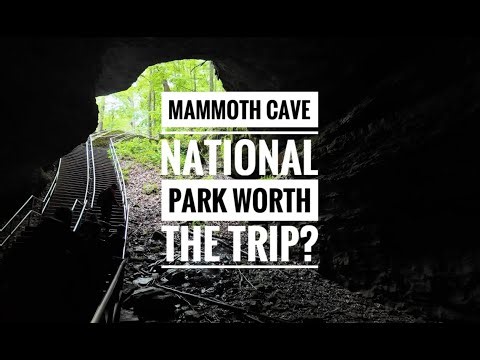 Is Mammoth Cave National Park Worth the Trip? What You NEED to Know!
