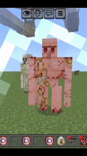 shield vs iron Golem