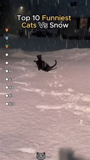 clipo on Instagram: "Top 10 funniest cats Vs snow:😸🐈"