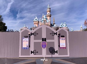 Sleeping Beauty Castle Walkthrough Closed for Refurbishment | Chip and Company