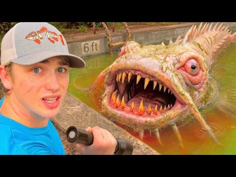 I Found Deadly Fish in an Abandoned Pool…