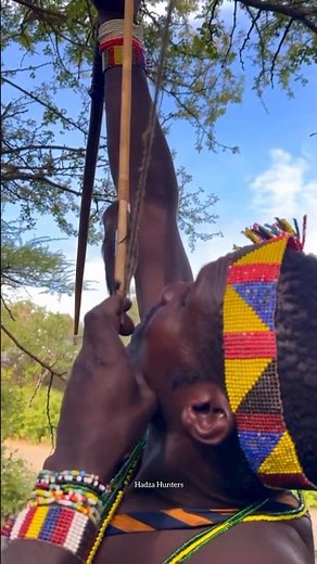 ¡Caza de ave en la rama del árbol!🏹 Hunters' tree branch bird hunt!🎯 #Shorts #Viral #Ave #Bird