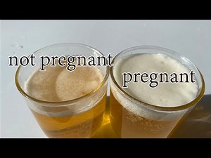 pregnant test with bleach ✔️ pregnant test at home