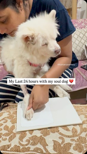 In these final hours with my guggu ( duffy ), every moment felt like a lifetime. I took his paw prints—tangible reminders of his gentle presence that I’ll hold forever. I have kept a lot of his reminders with me - his sweater , belt , pillow , pee pads .. everything that will make me feel close to him . I snuggled with him like we did every day, letting the warmth of his body speak the language of unconditional love. It always used to be our favourite time of the day .💔 I thanked God for bringi