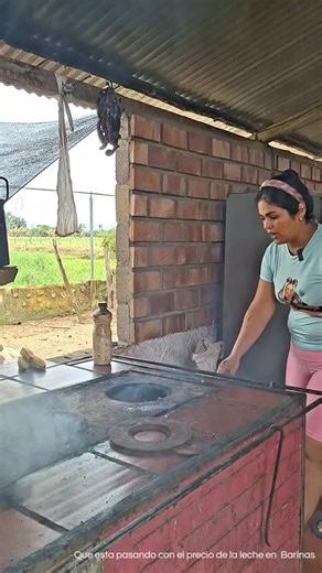 Precio de la leche en Barinas: ¿Qué está pasando?