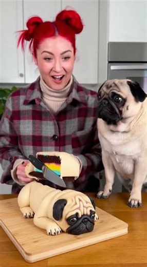 This Cake Cut Had an Unexpected Reaction 😳🐶