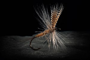 Fly Fishing the Hendrickson Hatch - Fly Fisherman