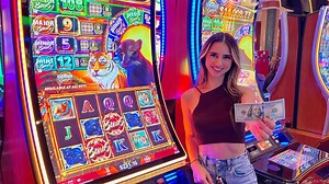 9.5K views · 304 reactions | How Many Spins Will It Take To Reach The Cats Slot BONUS! | Leslie Slots | Facebook