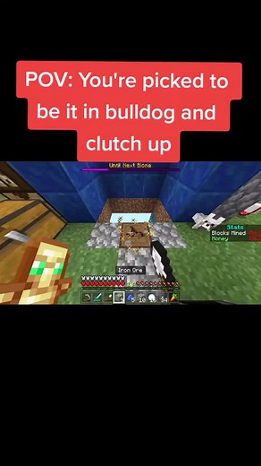 Its the best feeling in the world #bulldog #minecraft #tag #briish #british