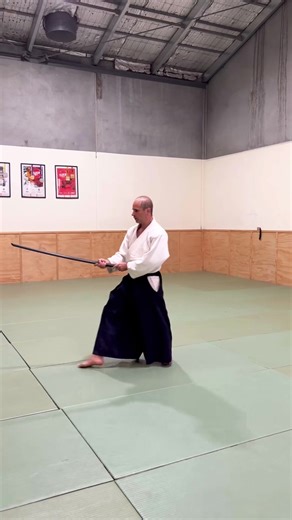 Aikido in action. . Your location for Karate, Jiu-Jitsu, Kickboxing, Aikido & functional fitness in Eltham 𝗪𝗲 𝗼𝗳𝗳𝗲𝗿 🥋 Adult Martial Arts & Fitness 👩 Women-only Martial-Arts & Fitness 👦 Kids Martial Arts & Fitness To get started, go to the 🔗 in our description. . . . #eltham #elthamgym #fitnesseltham #elthamaikido #groupfitnesseltham #elthamkickboxing #karateeltham #bjjmelbourne #jiujitsueltham #elthamkidsfitness #kyokushinkarate #fightingeltham #aikidoineltham #grapplingeltham #eltham
