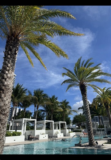 Miami Girls Be Like #fyp #miami | Miami