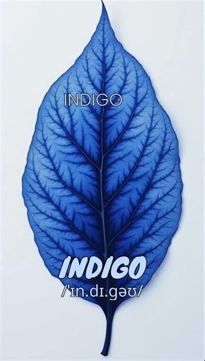 Loopoom English: Learn "Indigo" - English Vocabulary & Pronunciation