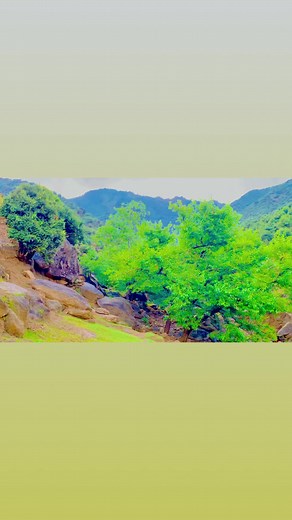 1.1K views · 27 reactions | Jalal Abad Afghanistan ❤️ | Afghanistan Culture | Facebook