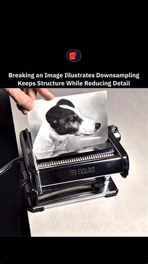Explaining Matrix on Instagram: "Downsampling reduces image size by selecting fewer pixels from the original. The main shapes stay visible because the larger patterns survive the reduction. Fine detail drops because small features vanish when fewer samples represent them. Edges soften and texture becomes less defined. The reduced version still shows the overall structure so the scene remains understandable. Cameras, editing tools, and model inputs use this process to shrink data and speed proces