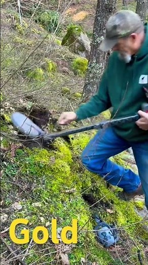 Two Toes on the Gold #metaldetecting #goldpickers #gold #goldprospecting #goldrush #rockhounding