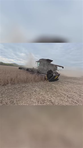 He thinks back on what could have been. Then, he wonders where Bubby is. Later, he braces for a tough haul from the tractor. It's all in a day's work! #agriculture #tractorlife #farming #grain #harvest #countrylife