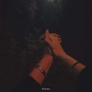 Te amo - Alexander Acha | A l e r m a