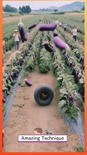 Watch the work done by this amazing animal #farming #usafarming