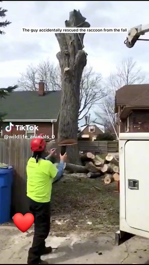 51K reactions · 2.2K shares | Lukas Núñez on Reels | Facebook