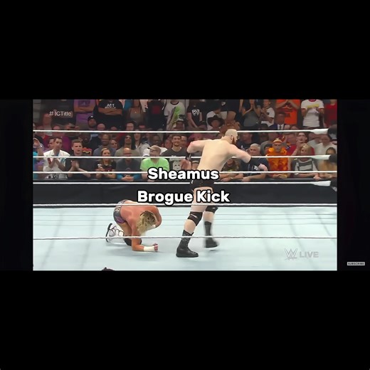 Sheamus Delivers a Stunning Brogue Kick in WWE
