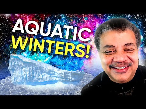 Neil deGrasse Tyson Explains Thermodynamics of Water