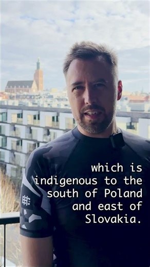 International Mother Language Day + My Lemko AI Translator