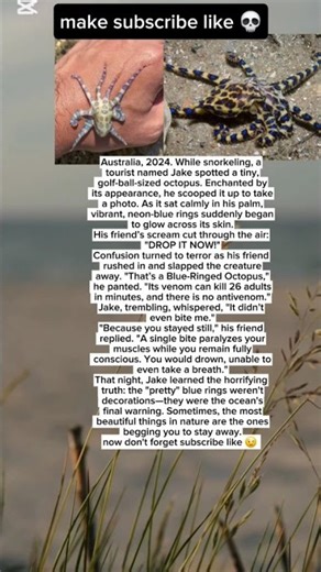 ​The Most Beautiful Death in the Ocean: The Blue-Ringed Octopus