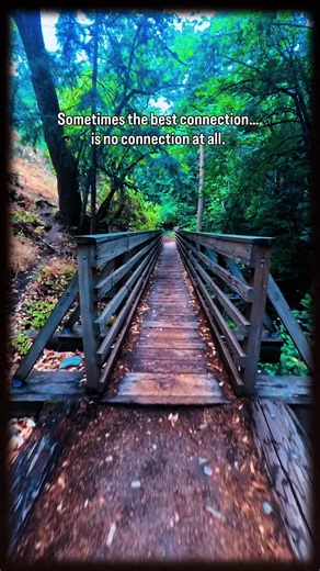 Redefiniendo las redes sociales con 3Five