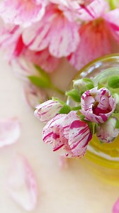 Geranium Essential Oil: Nature's Secret For Radiant Skin And More