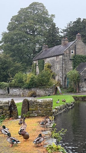 141K views · 5.4K reactions | Nicola King on Reels | Facebook