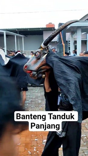 Banteng Tanduk Panjang