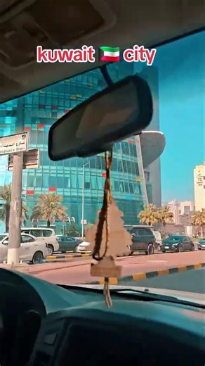 I Survived A Plane Crash