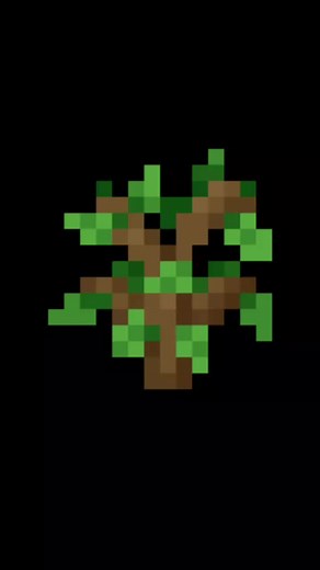 Oak Sapling on TikTok