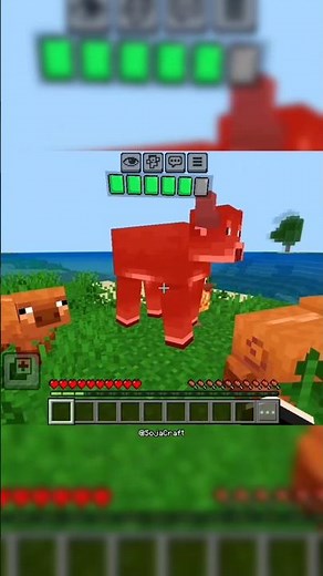Health Indicator In Minecraft Bedrock 😱