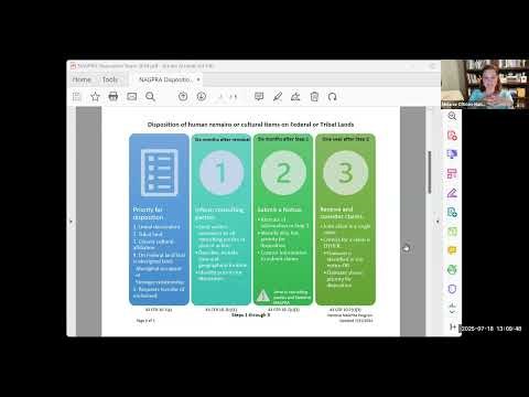 Steps to Disposition
