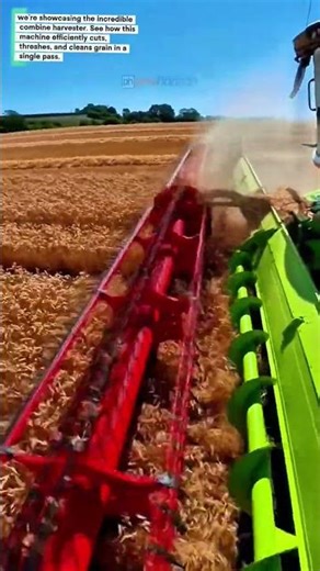 Combine Harvester in Action: Modern Farming Technology