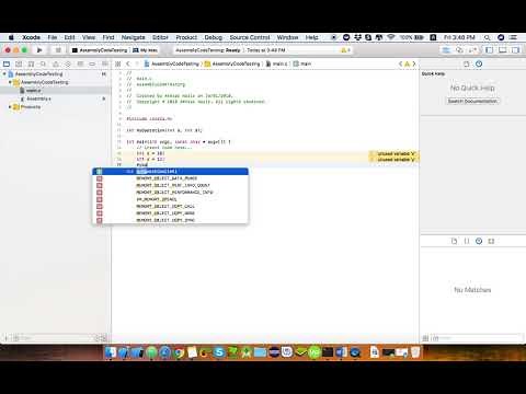 Assembly Language Using XCode