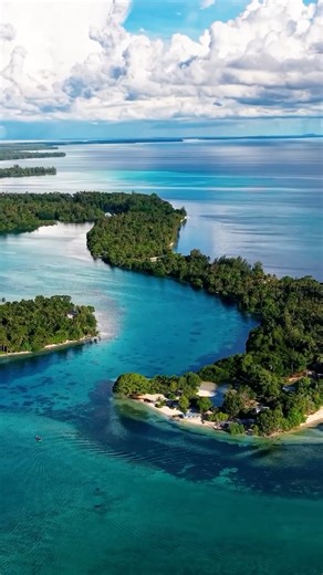 Back 2 Basics Adventures on Instagram: "We’ve really settled into island life up here… Catching sharks with the locals, smoking local herb, steaming mackerel over the coals, learning how to make friction fire and teaching the locals how to fly drones. There are 6eps now live from our month in png. Keep your eye out for ep7 tomorrow . Search “Back 2 Basics Adventures” on YT 🌴🦈"