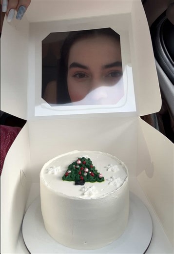 Bento Cake Mishap: A Christmas Adventure