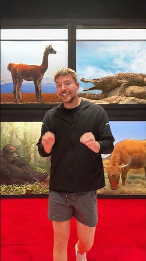 Spot The Fake Animal For $10,000
