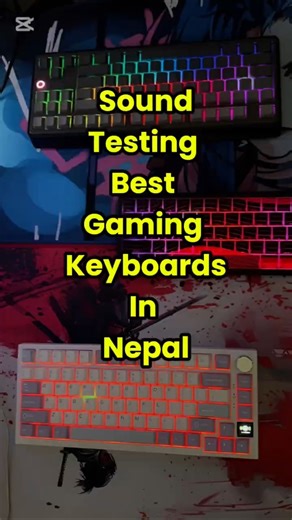 Which Switch Sounds Best? 🎧 Reaper vs Magnetic vs Greywood V3