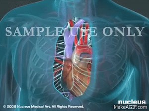 Heart Bypass Surgery (CABG) on Make a GIF