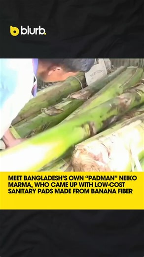 The Daily Blurb on Instagram: "Bangladesh’s Neiko Marma, known as the "Bangladeshi Padman", is producing low cost sanitary napkins from discarded banana plants. His team has already distributed thousands for free in local schools and communities, receiving positive feedback. Marma hopes to scale production with BSTI approval and government support to reach remote, low income areas."