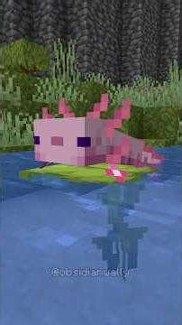 AXOLOTL XP FARM #minecraft #minecraftbeauty #minecraftmemes