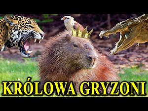 Relaxed or Stressed? The Capybara and Its Mortal Enemies