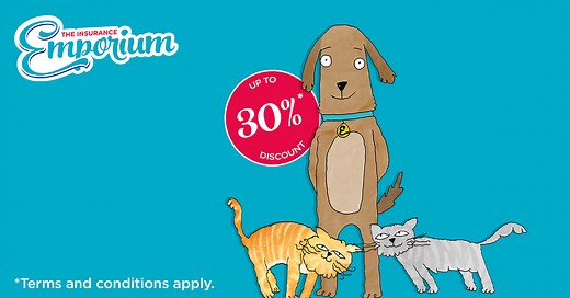 Award-Winning Cat Insurance | The Insurance Emporium