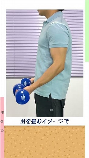 ダンベルアームカール【かんたん解説】#筋トレ初心者 #ダンベル