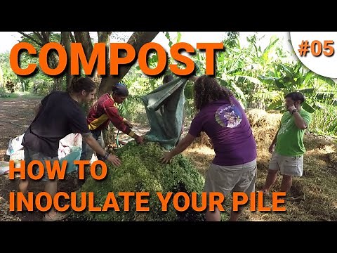 Permaculture: How to Inoculate your Compost Pile without another Compost Pile (Lesson 05)